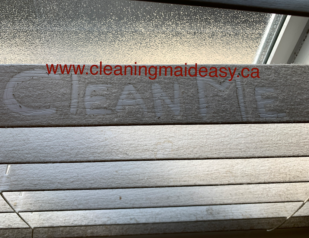 Cleaning Maid Easy | 20852 Stoney Ave, Maple Ridge, BC V2X 7T1, Canada | Phone: (604) 908-6928