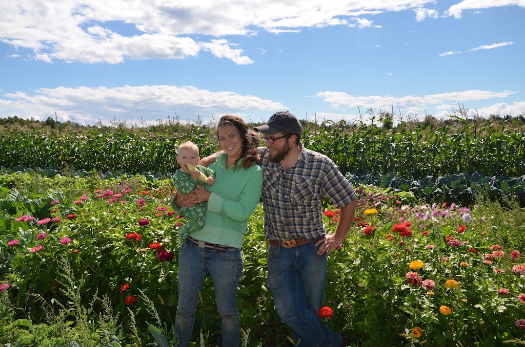 La coopérative Ferme Terre Partagée | 1312 Chem. Pleasant Ridge, Rogersville-Ouest, NB E4Y 1C8, Canada | Phone: (506) 251-8246