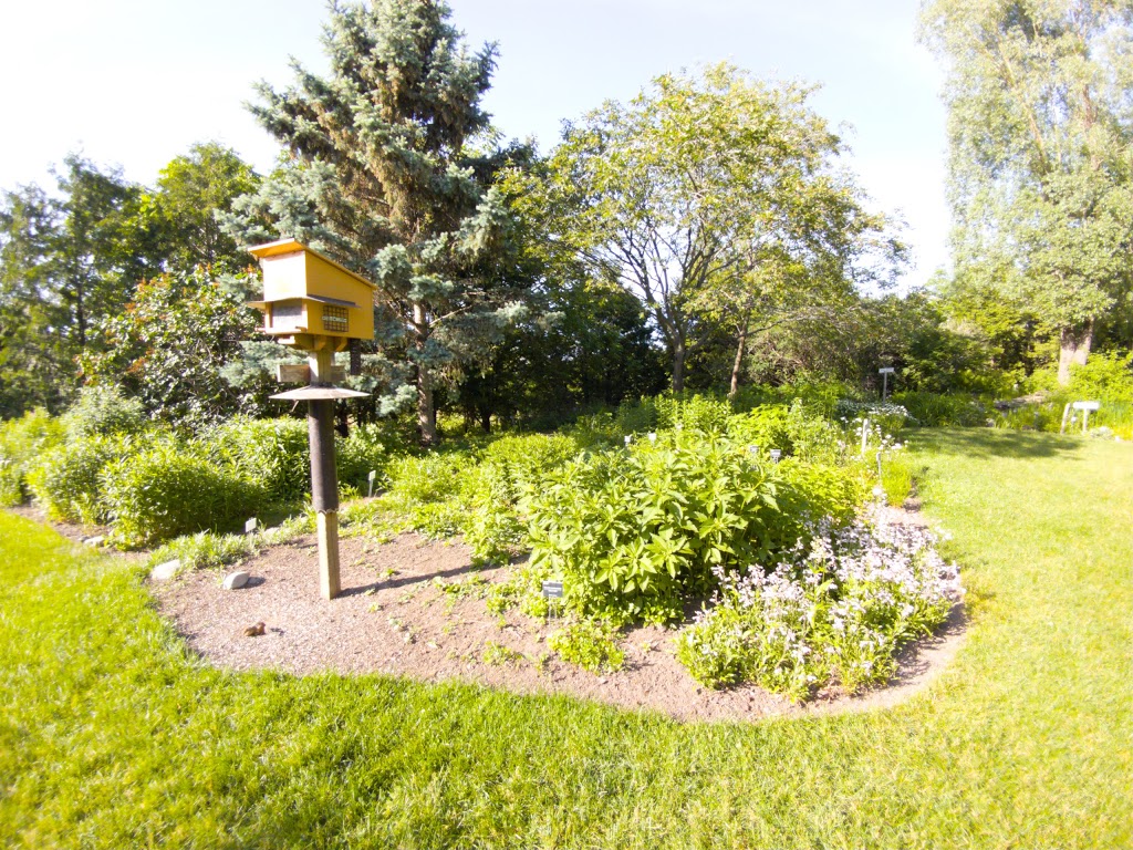 Fletcher Wildlife Garden | 917 Sherwood Dr, Ottawa, ON K2C 3R6, Canada | Phone: (613) 234-6767