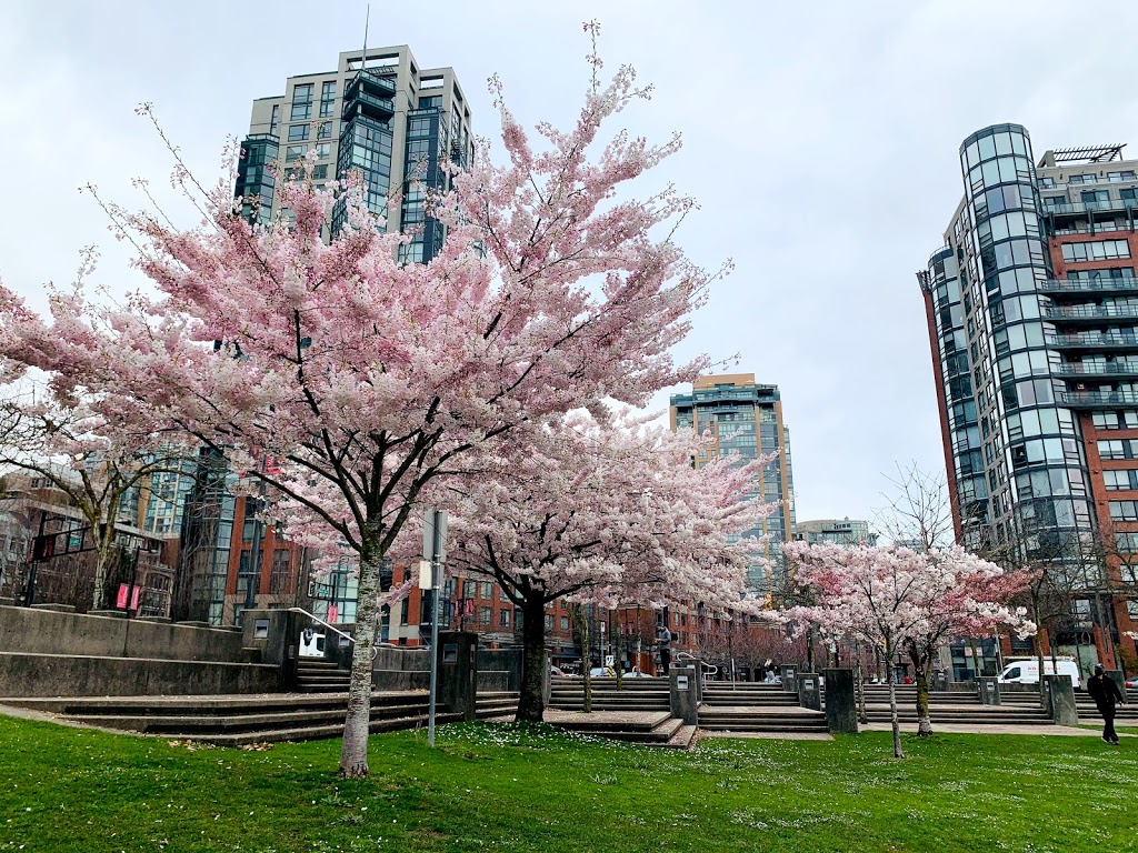 David Lam Park | 1300 Pacific Blvd, Vancouver, BC V6Z 2Y1, Canada | Phone: (604) 873-7000