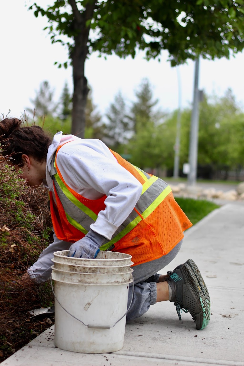 Harder & Sons Exterior Maintenance Services Inc. | 27 Balsam Ave #5, Bragg Creek, AB T0L 0K0, Canada | Phone: (403) 949-3442