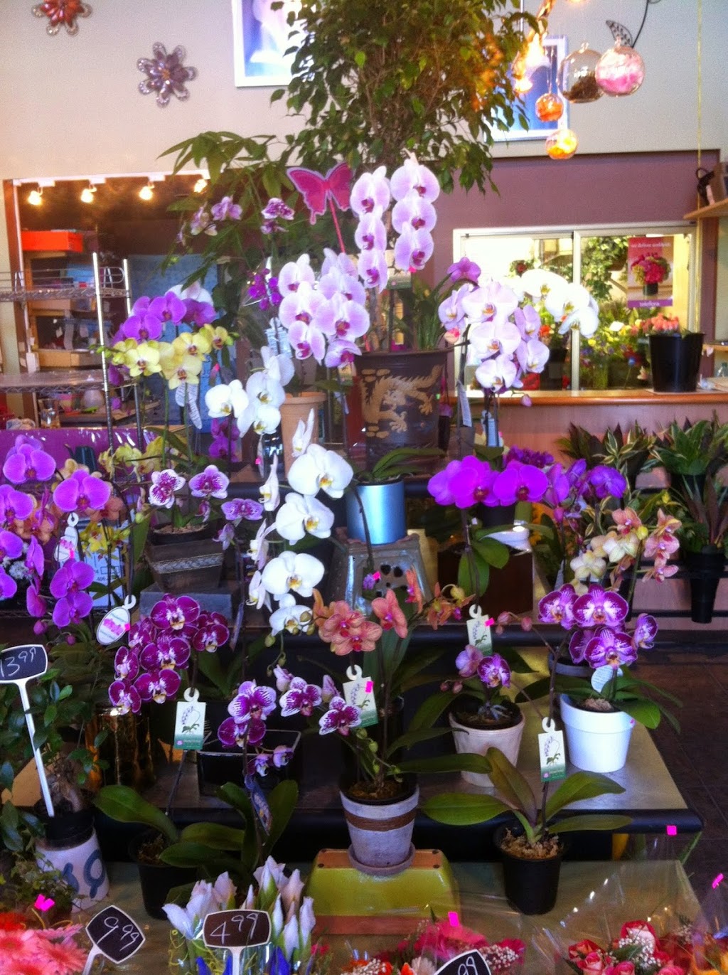 Flower Affairs | 4430 W Saanich Rd, Victoria, BC V8Z 3E9, Canada | Phone: (250) 479-8166