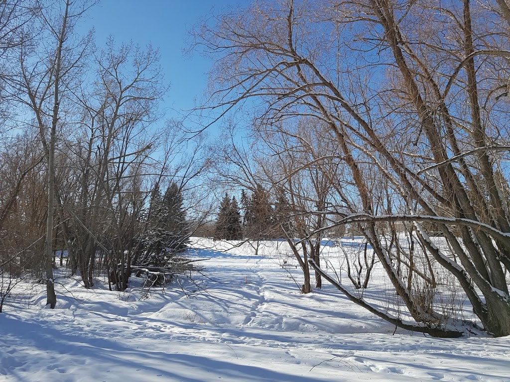 Confederation Park Parking, 30 Ave & 7 st | Unnamed Road, Calgary, AB T2K 0A2, Canada