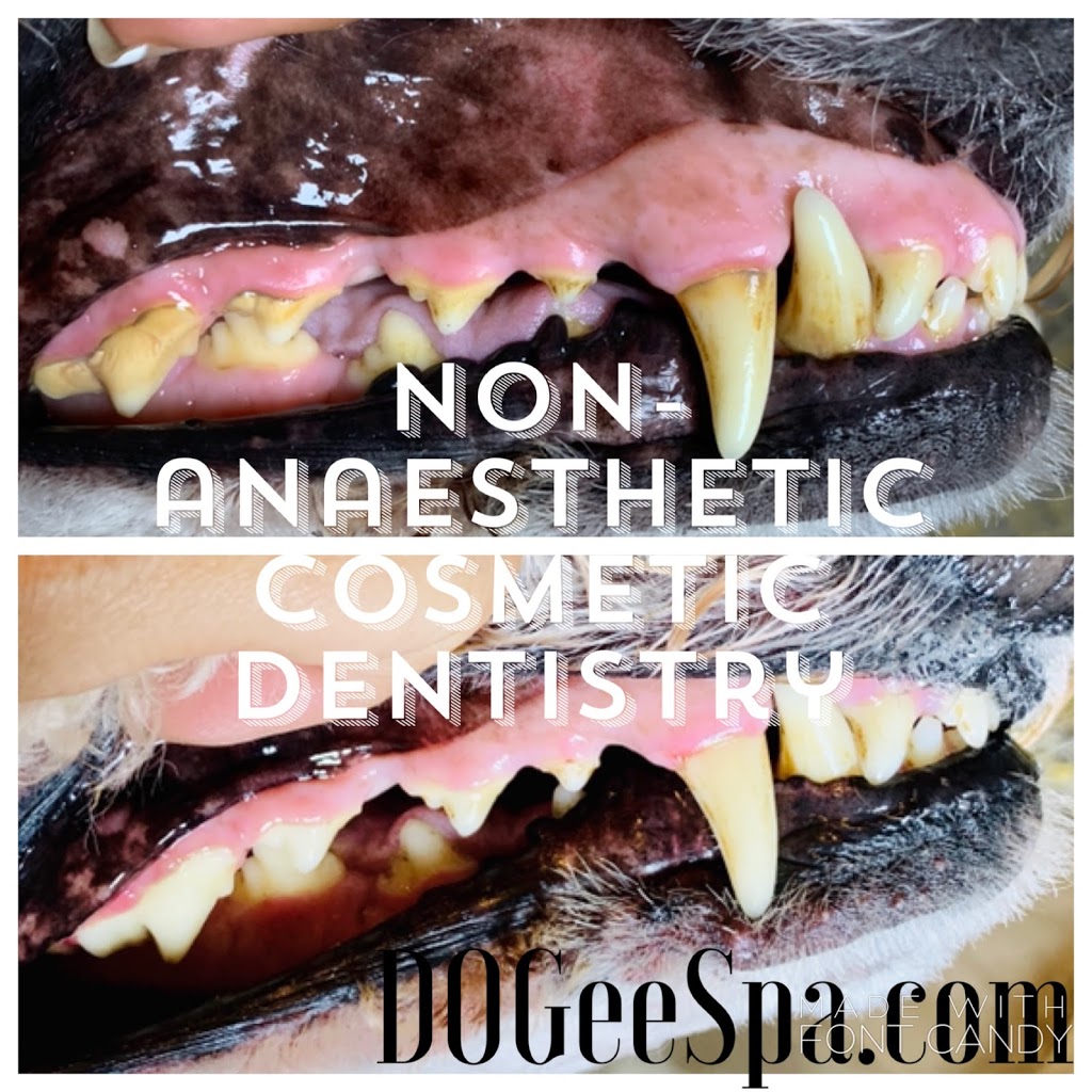 DOGee Spa Cosmetic Pet Dentistry and Reiki | 179 Thomas Avenue, Brantford, ON N3S 0E2, Canada | Phone: (519) 802-1207