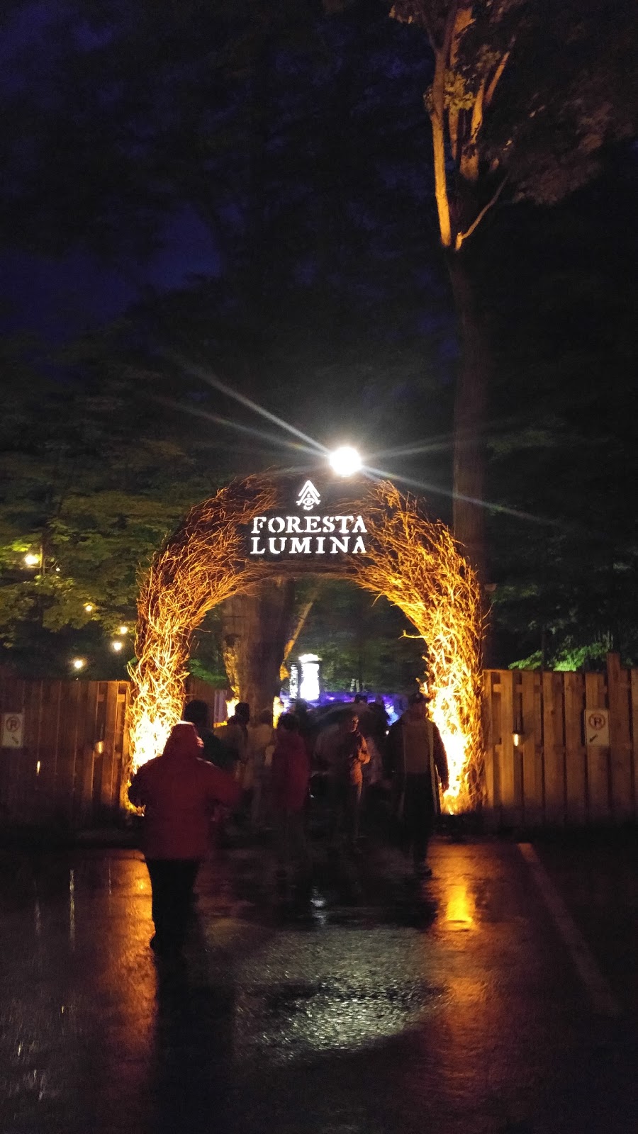 Foresta Lumina | 135 Rue Michaud, Coaticook, QC J1A 1A9, Canada | Phone: (819) 849-2331