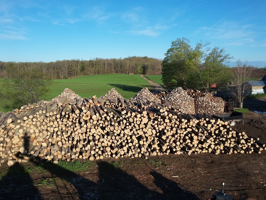 Stormin Normans Firewood | 2892 Hackbart Rd, St. Clements, ON N0B 2M0, Canada | Phone: (519) 504-5626