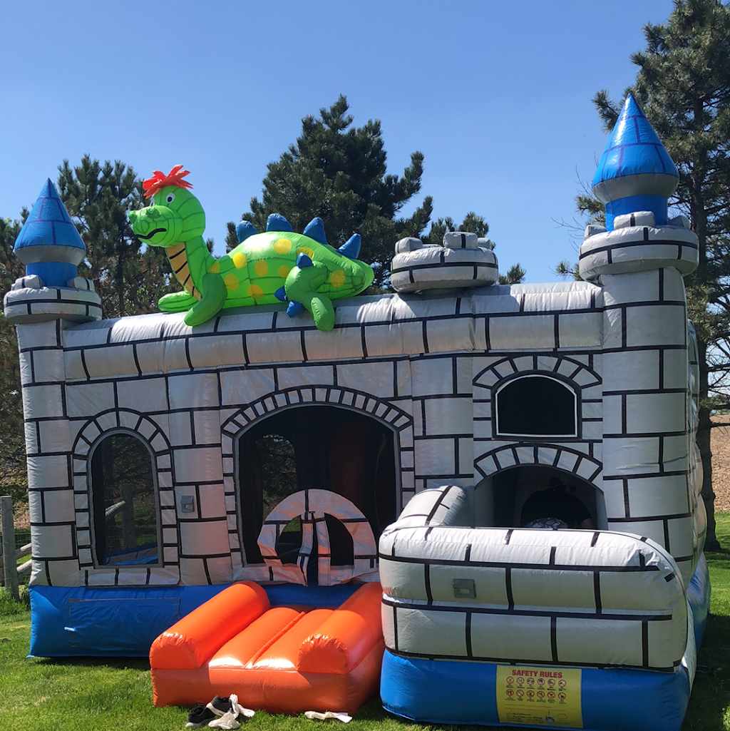 AdventureMania Inflatables | 934 Concession 4 W, Waterdown, ON L8B 1J9, Canada | Phone: (905) 864-3290