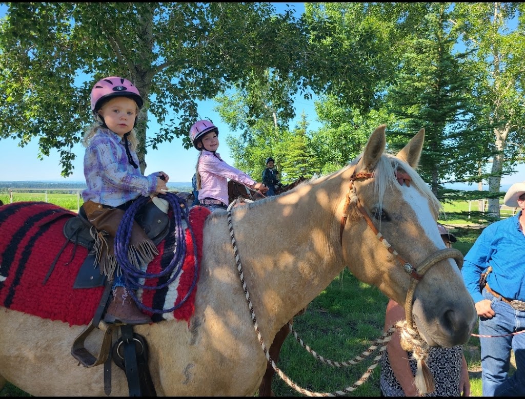 Rocky Mountain Horsemanship | 241081 Range Rd 33, rockyview county, AB T3Z 1M7, Canada | Phone: (587) 892-3333