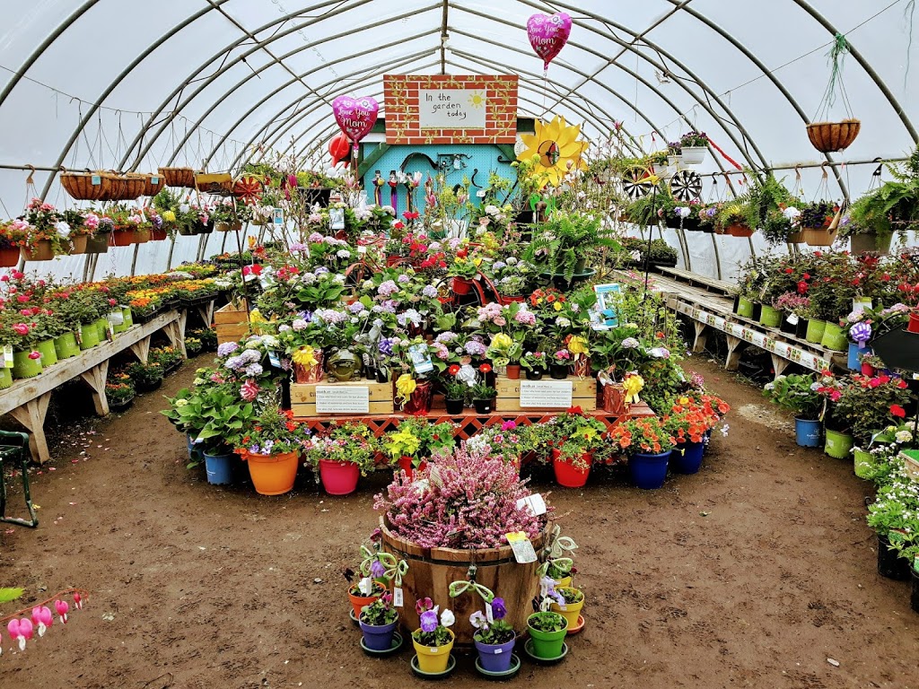 Withrows Farm Market | 1040 NS-214, Belnan, NS B2S 2P7, Canada | Phone: (902) 883-2698