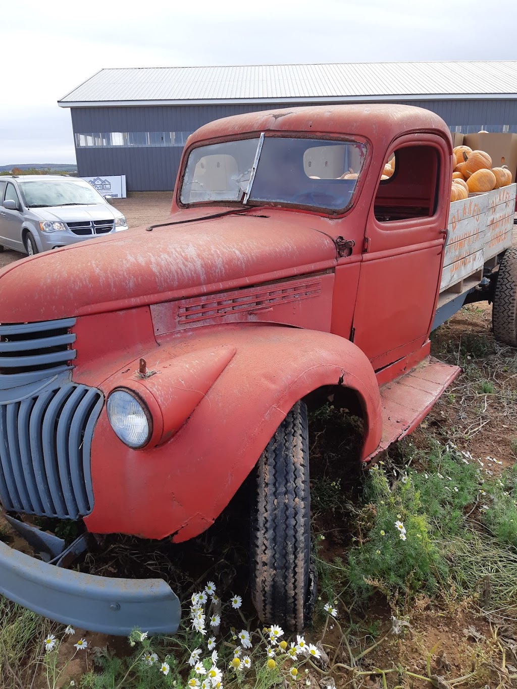 Bayview Poultry Farms | 948 Shore Rd, Debert, NS B0M 1G0, Canada | Phone: (902) 662-2489