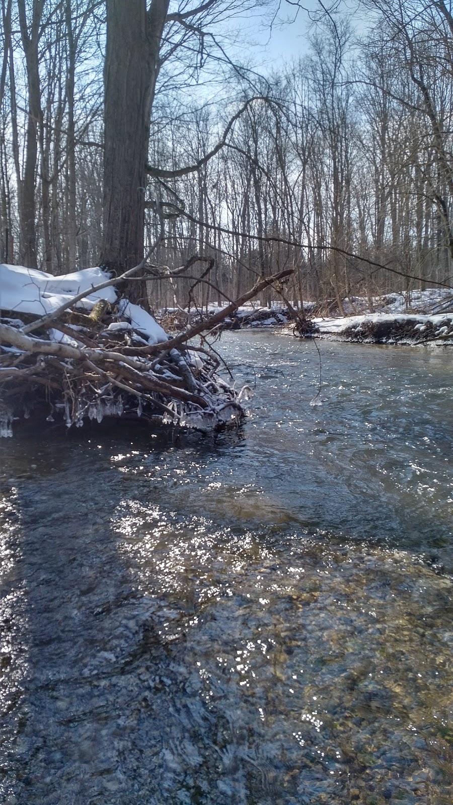 Coldstream Conservation Area | Quaker Ln, Middlesex Centre, ON N0M 2A0, Canada