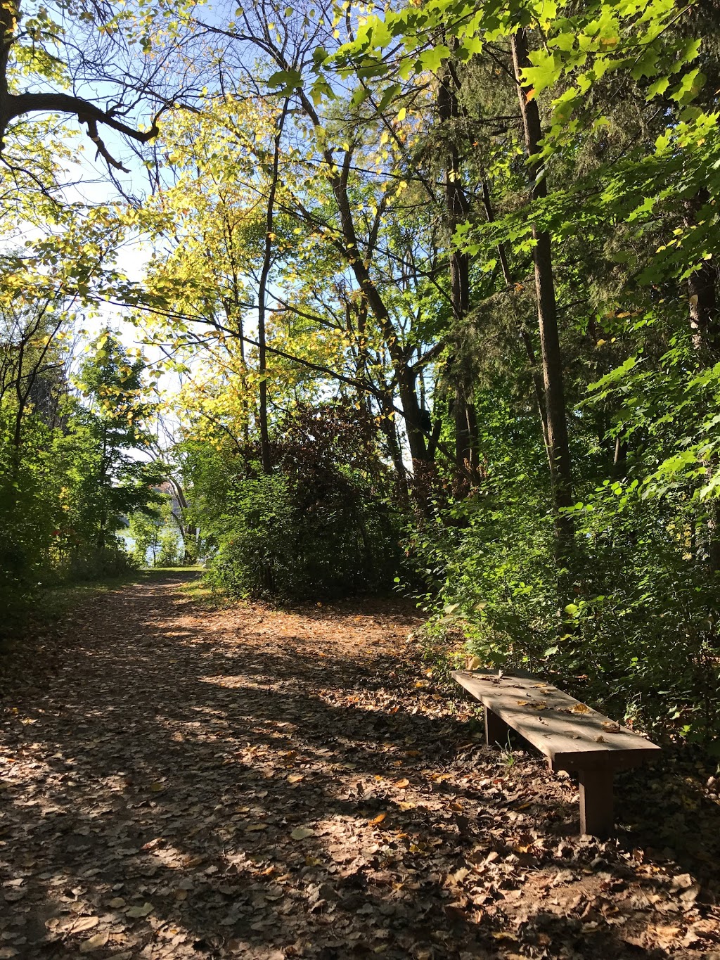 Berge Couvrette | Terrasse Cyr, Laval, QC H7X 2C1, Canada