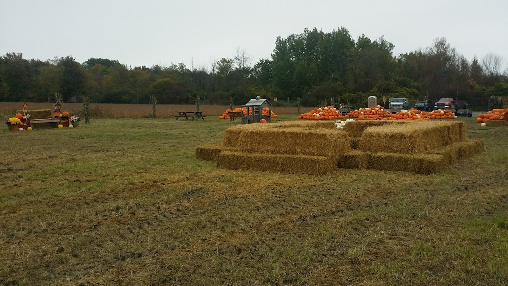 Foster Family Farm - Cedarview Road Farm Stand | 333 Cedarview Rd, Nepean, ON K2H 7Y8, Canada | Phone: (613) 851-3903