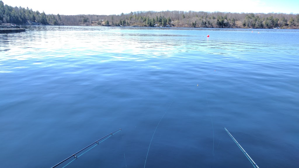 Aqua-Cage Fisheries Ltd | 9006 Aqua Dr, Parry Sound, ON P2A 2X4, Canada | Phone: (705) 774-9613