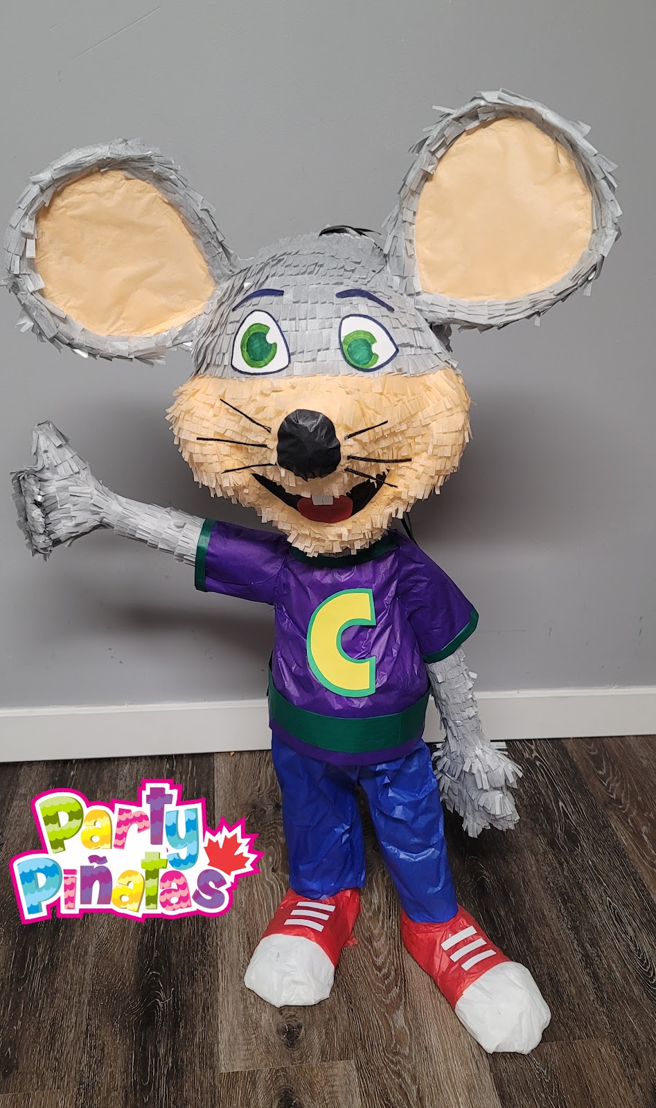 Party Pinata | 26 Meadowlark Rd, Barrie, ON L4M 6E1, Canada | Phone: (705) 999-8894