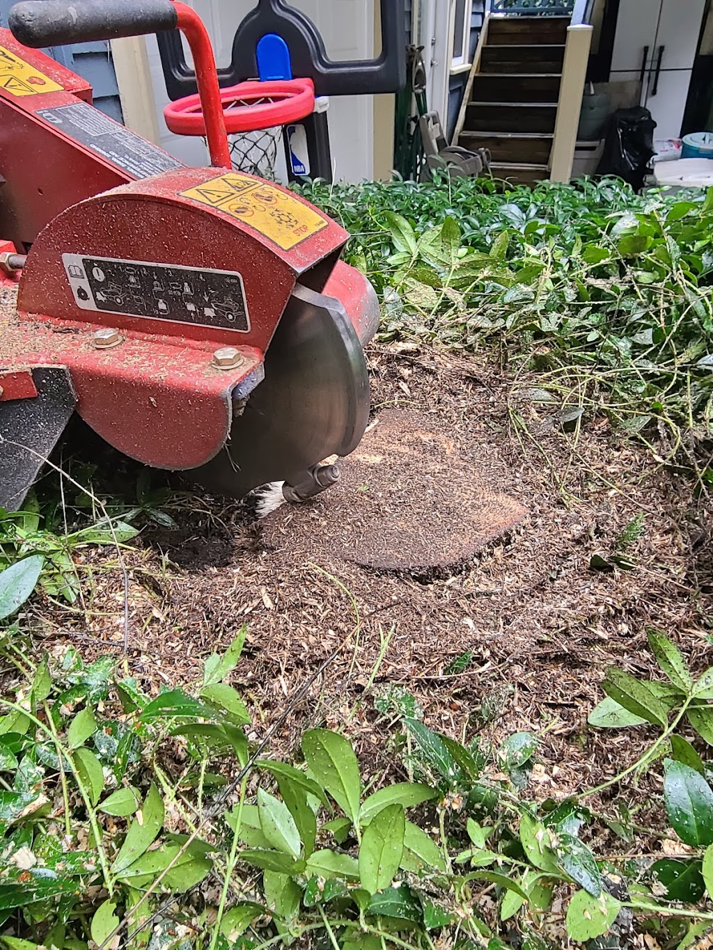 Roots & Connections Tree Service | 1572 Giles Pl, Burnaby, BC V5A 3K6, Canada | Phone: (604) 808-8733
