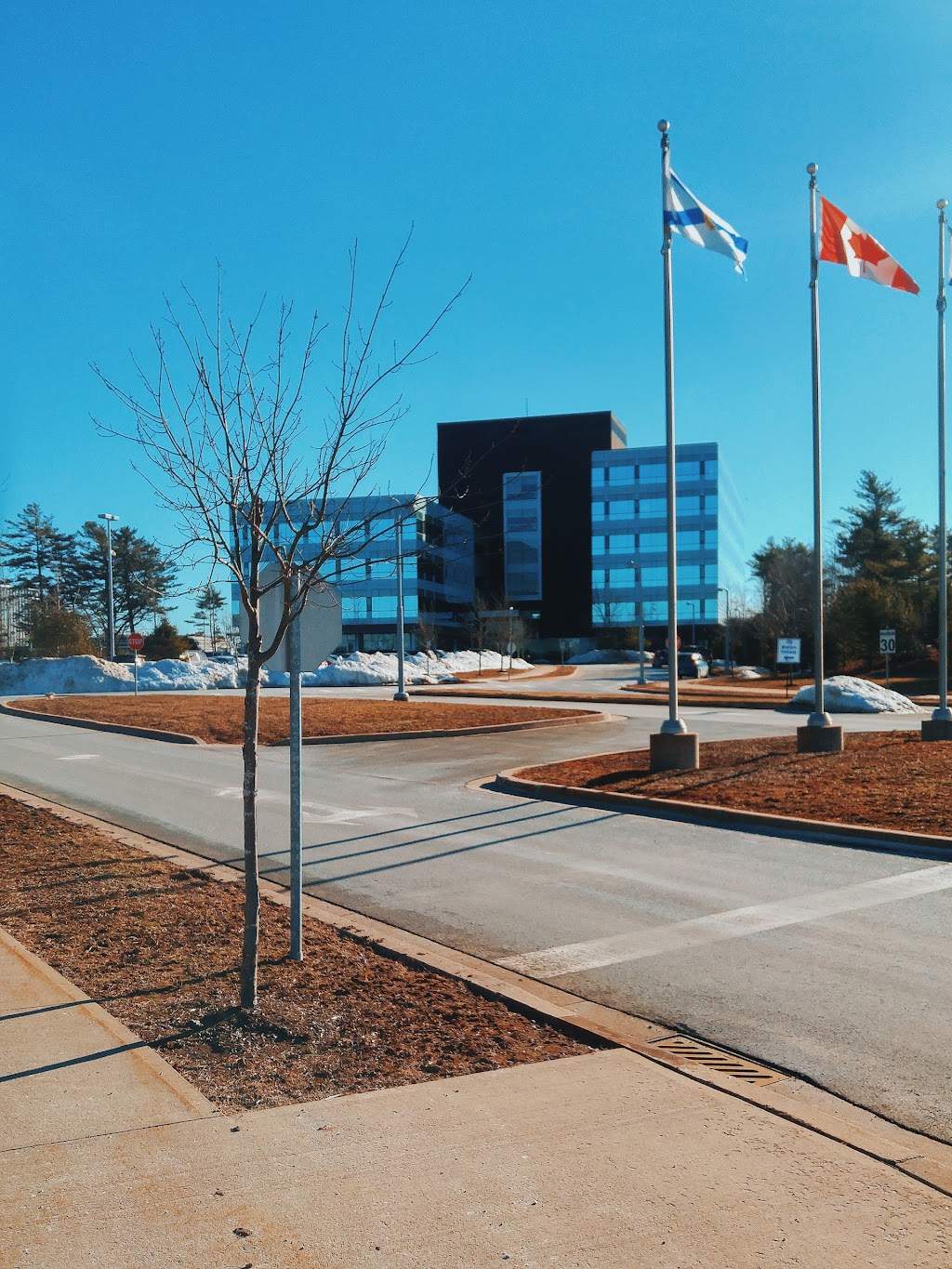 IBM Client Innovation Centre Nova Scotia | 15 Western Pkwy, Bedford, NS B4B 0V1, Canada | Phone: (902) 721-2400