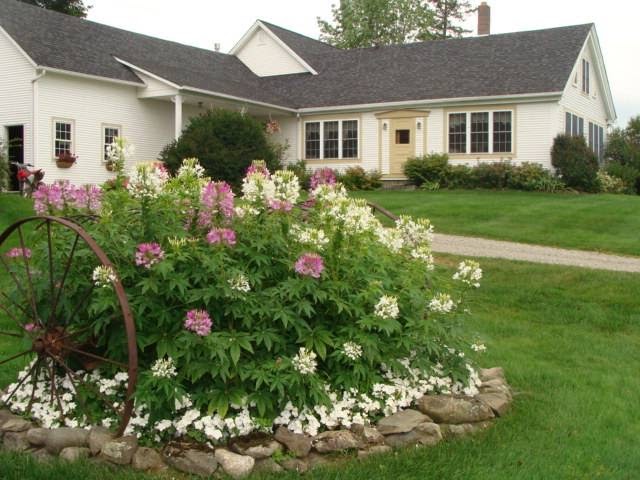 Cliff Haven Farm Bed and Breakfast | 5463 Lake Rd, Newport Center, VT 05857, USA | Phone: (802) 334-2401