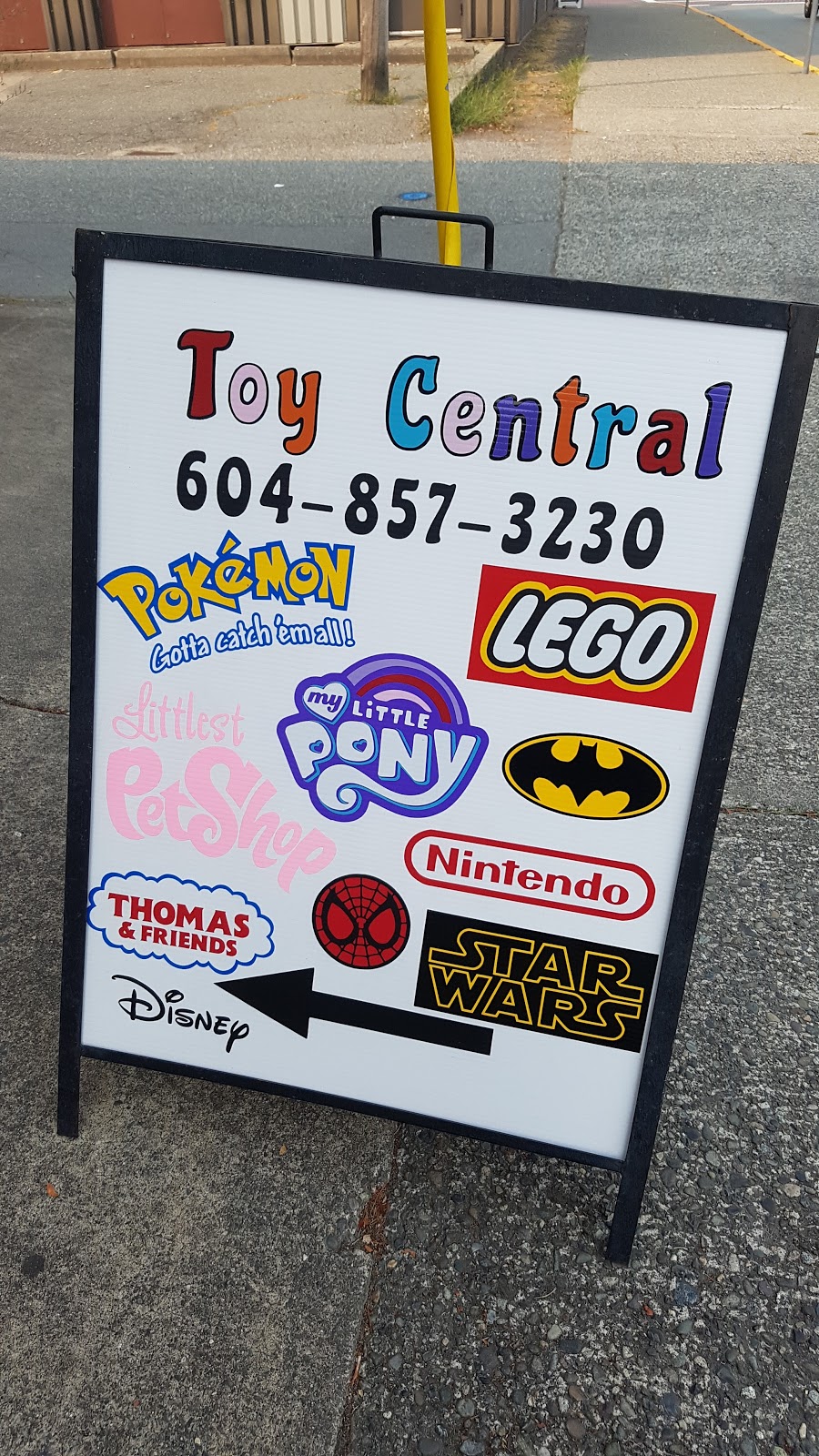 Toy Central Ltd. | 2993 272 St, Aldergrove, BC V4W 3R3, Canada | Phone: (604) 857-3230