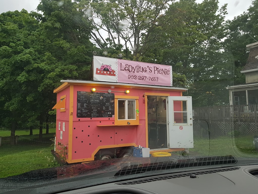 Ladybugs Picnic | 69 Albion St, Amherst, NS B4H 2W2, Canada | Phone: (902) 297-7653