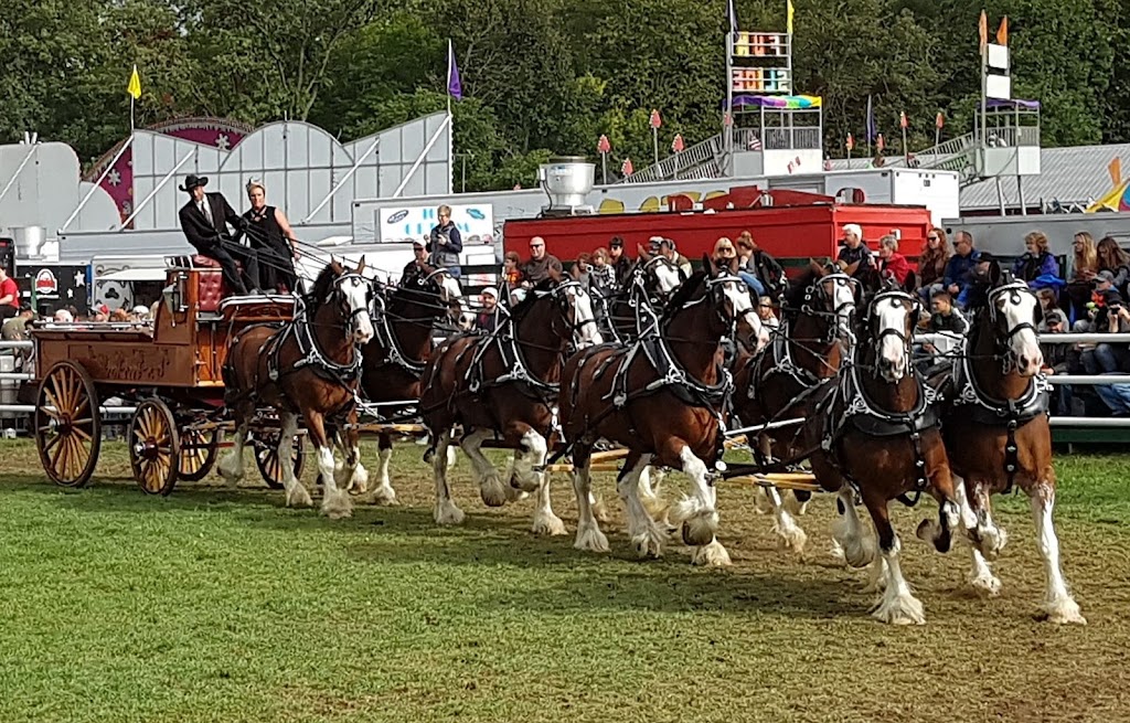 Carp Agricultural Society (Carp Fair) | 3790 Carp Rd, Carp, ON K0A 1L0, Canada | Phone: (613) 839-2172