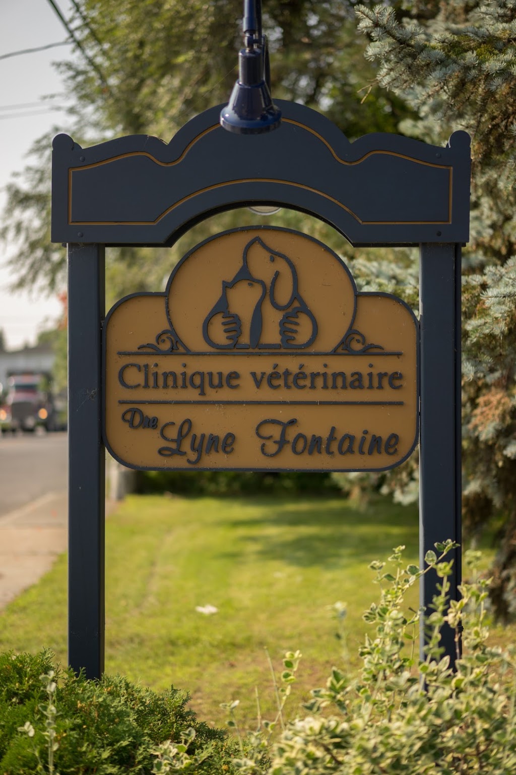 Clinique Veterinaire Fontaine | 495 Boulevard dIberville, Saint-Jean-sur-Richelieu, QC J2X 3Y8, Canada | Phone: (450) 347-5964