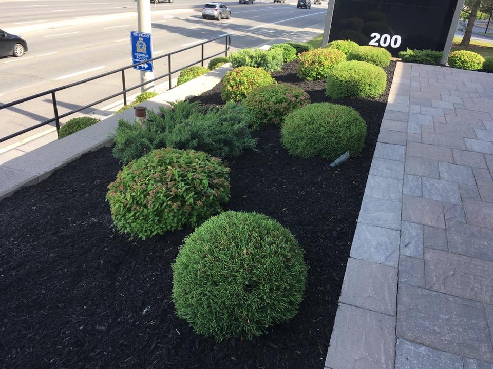 Fine Cut Landscaping | 1100 Sheffield Rd, Cambridge, ON N1R 5S2, Canada | Phone: (519) 651-7044