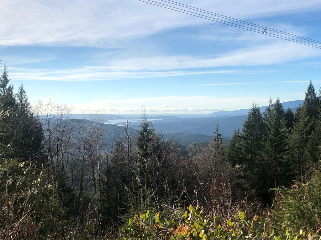 Eagle Mountain Trail | Unnamed Road, Anmore, BC V3H 4Z2, Canada