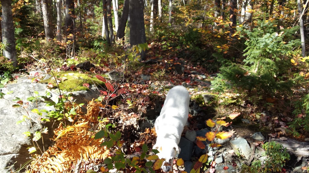 Shubie Trail Head | Shubie Canal Greenway Corridor, Waverley, NS B2R, Canada