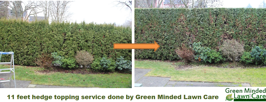 Green Minded Lawn Care | 4237 Marguerite St, Vancouver, BC V6J 4G2, Canada | Phone: (778) 388-2986