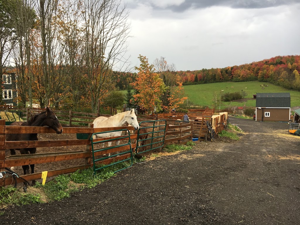 Ranch thérapeutique cheval de soie | 580 Chemin du Sanctuaire, Sherbrooke, QC J1H 0E1, Canada | Phone: (819) 620-3377