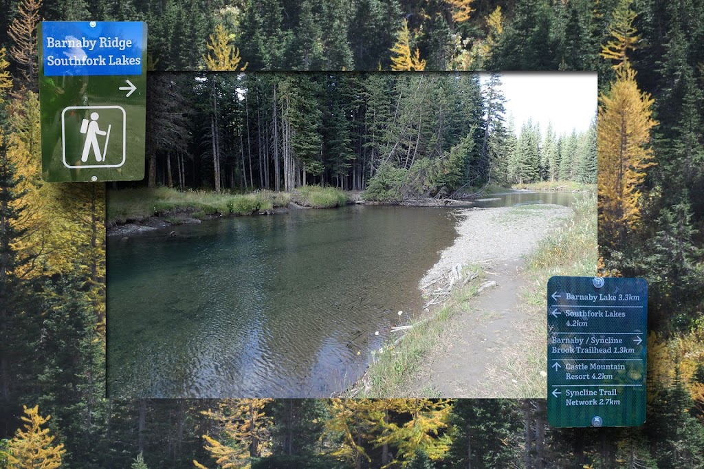 Southfork Lakes Trail Head | Alberta 774, Pincher Creek No. 9, AB T0K 1C0, Canada | Phone: (403) 627-1165