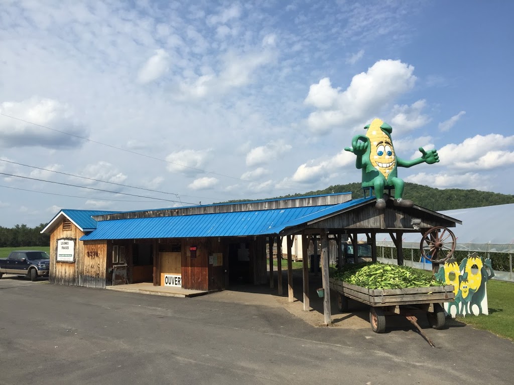 Kiosque de la Ferme Louiselle & Gaetan Brassard | 2415 Chemin des Glaïeuls, La Conception, QC J0T 1M0, Canada | Phone: (819) 686-5193