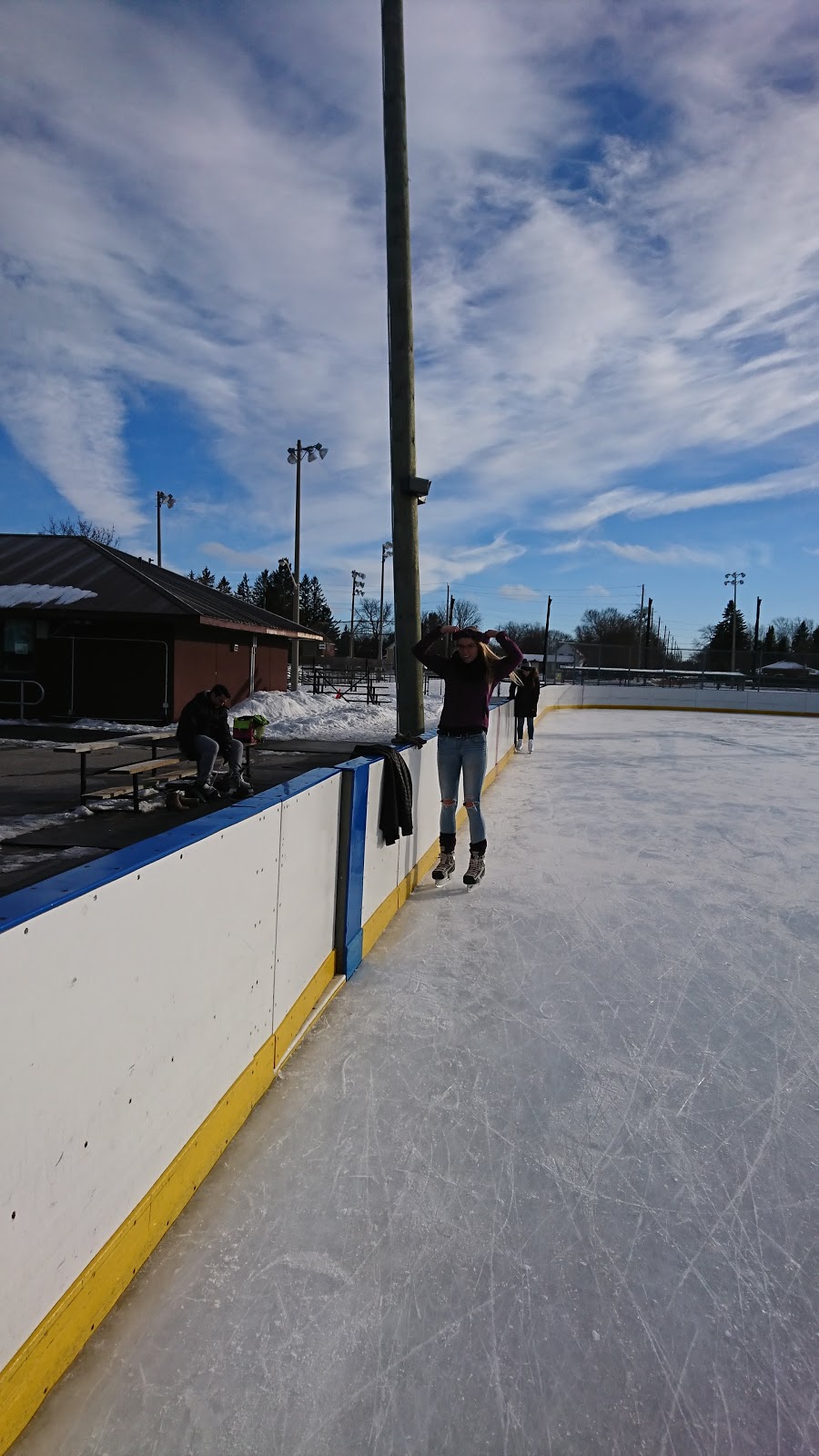 Collingwood Outdoor Rink | 200 Hume St, Collingwood, ON L9Y 1A1, Canada | Phone: (705) 444-2500 ext. 3382