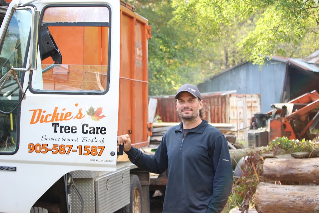 Dickies Tree and Shrub Care | 75 Townline, Orangeville, ON L9W 1V7, Canada | Phone: (905) 587-1587