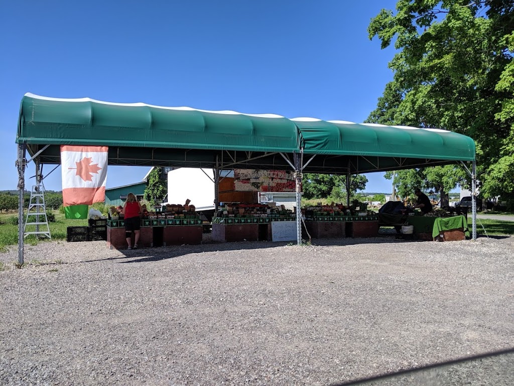 Romagnoli Farms Fruitstand | 4403 King St, Beamsville, ON L0R 1B1, Canada
