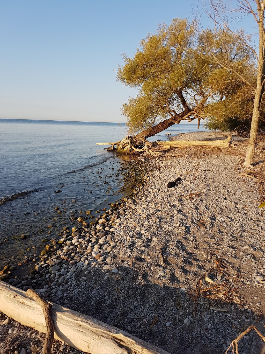 Samuel Wilmot Nature Area | 0A6, Waterfront Trail, Newcastle, ON L1B 0A6, Canada