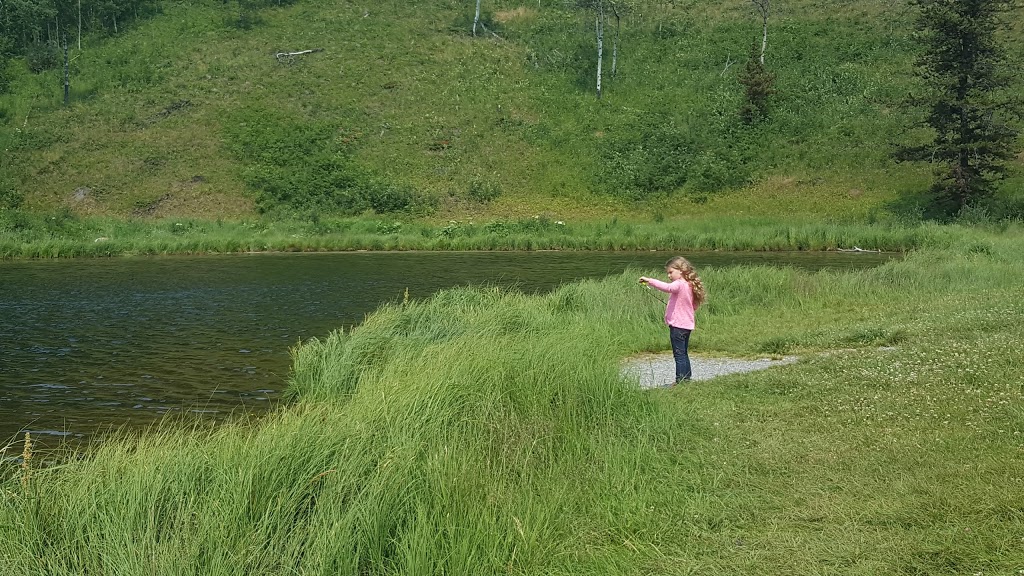 Sibbald Meadows Pond - Provincial Recreation Area | Kananaskis, AB T0L, Canada | Phone: (403) 678-0760