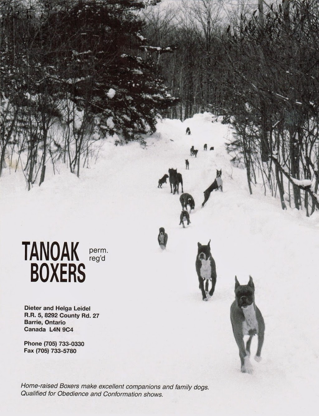 Tanoak | 8292 Simcoe County Rd 27, Barrie, ON L4N 9C4, Canada | Phone: (705) 733-0330