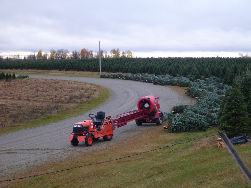 Plantations Rayham | 260 Chem. des Sables, Martinville, QC J0B 2A0, Canada | Phone: (819) 571-1087