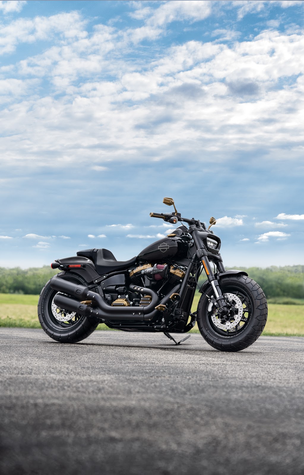 Léo Harley-Davidson | 8705 Boulevard Taschereau, Brossard, QC J4Y 1A4, Canada | Phone: (450) 443-4488