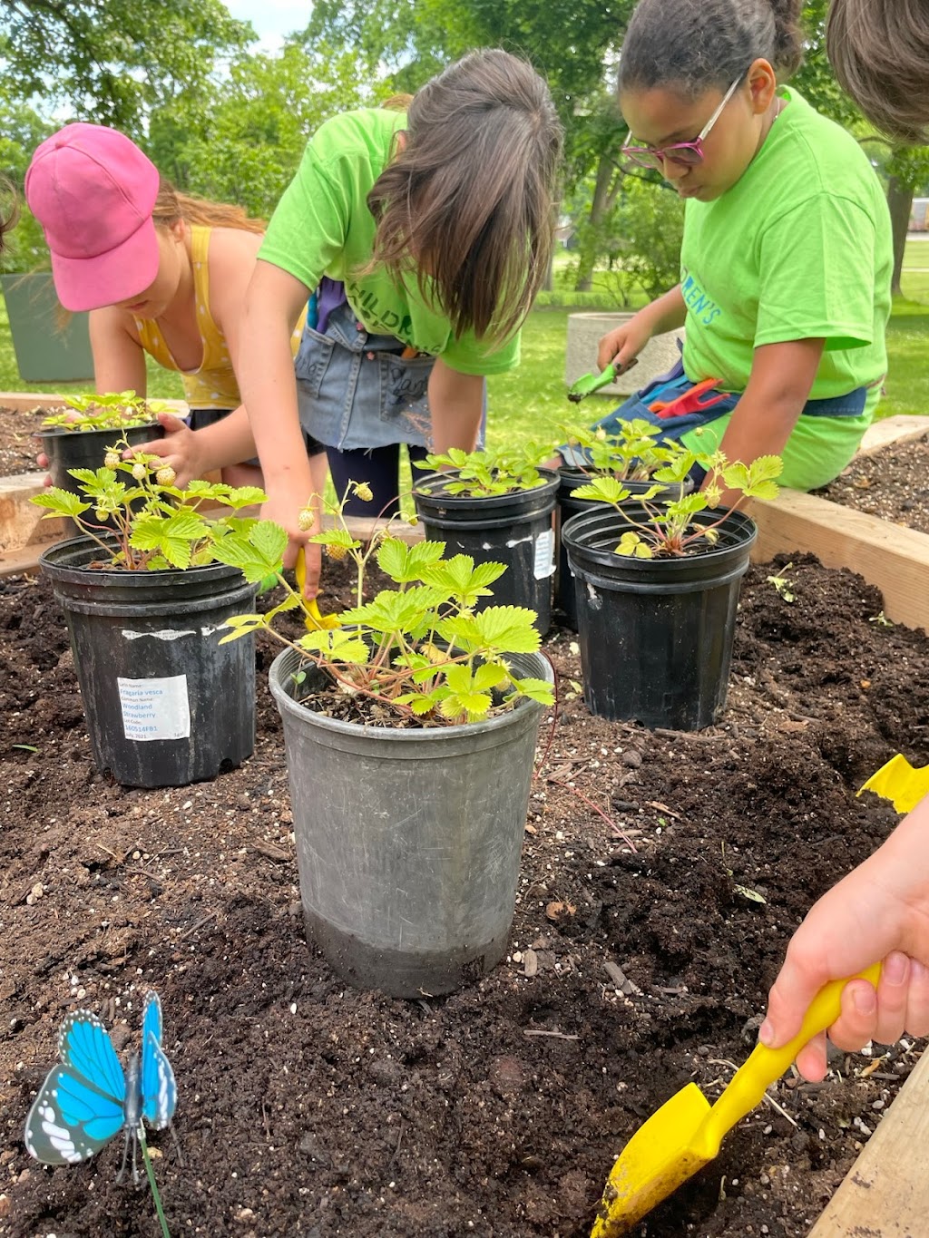 The Childrens Garden Project | 1000 Main St E, Hamilton, ON L8M 1N6, Canada | Phone: (289) 925-8612