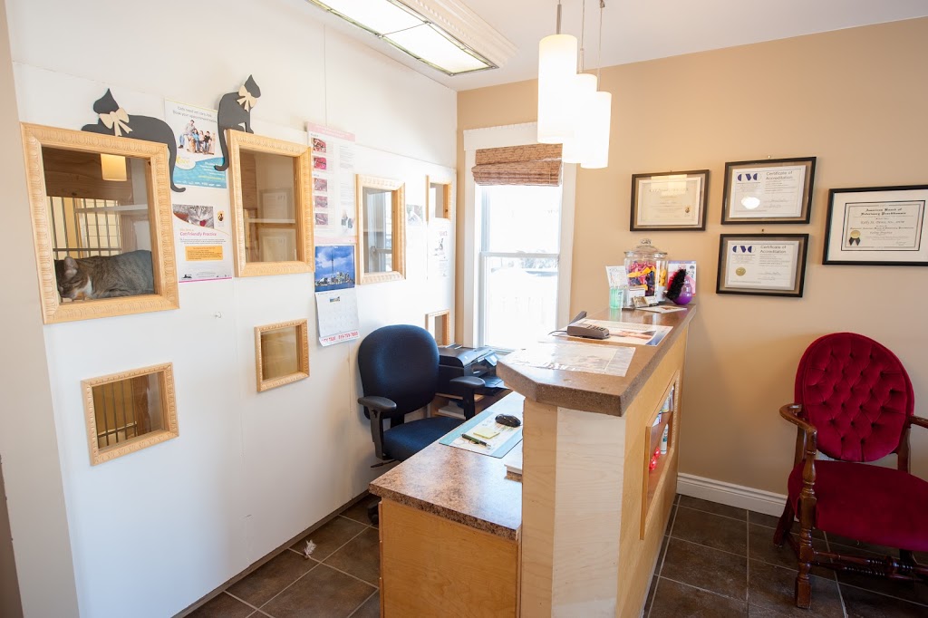 Charing Cross Cat Clinic | 138 Charing Cross St, Brantford, ON N3R 2J1, Canada | Phone: (519) 770-4228