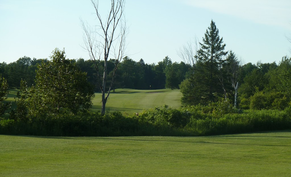 The Iron & The Eagle Golf & Country Club | 553473 Mono Amaranth Townline, Mono, ON L9W 5M6, Canada | Phone: (519) 941-9035