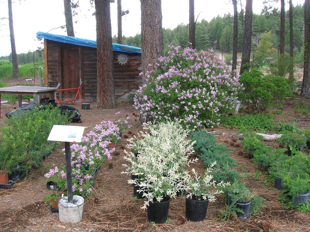 Caseys Greenhouses | 400 Fink St W, Cranbrook, BC V1C 6W6, Canada | Phone: (250) 426-4513