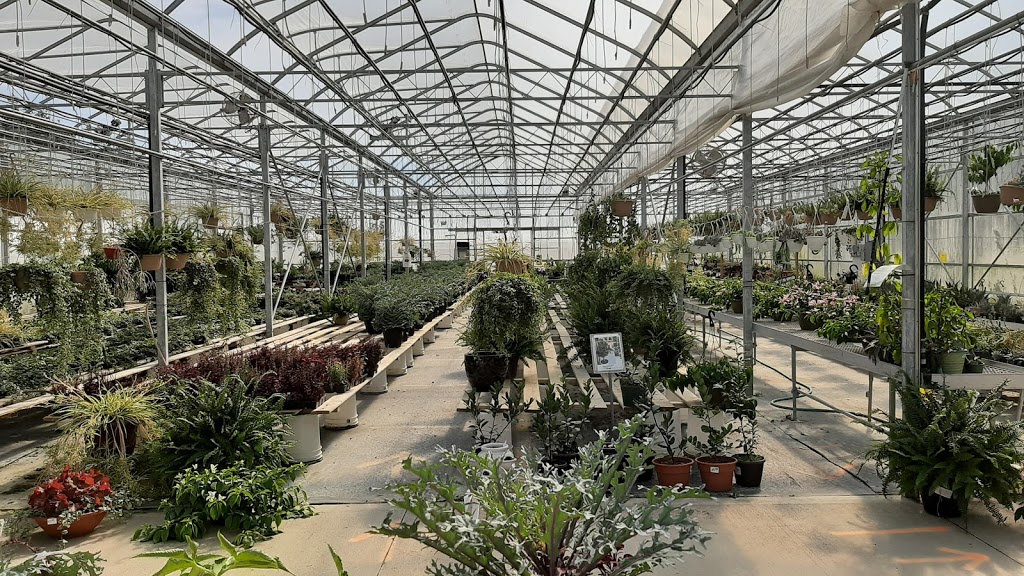 Scotts, J & D Greenhouses | 160 Huron Rd, Mitchell, ON N0K 1N0, Canada | Phone: (519) 348-8343