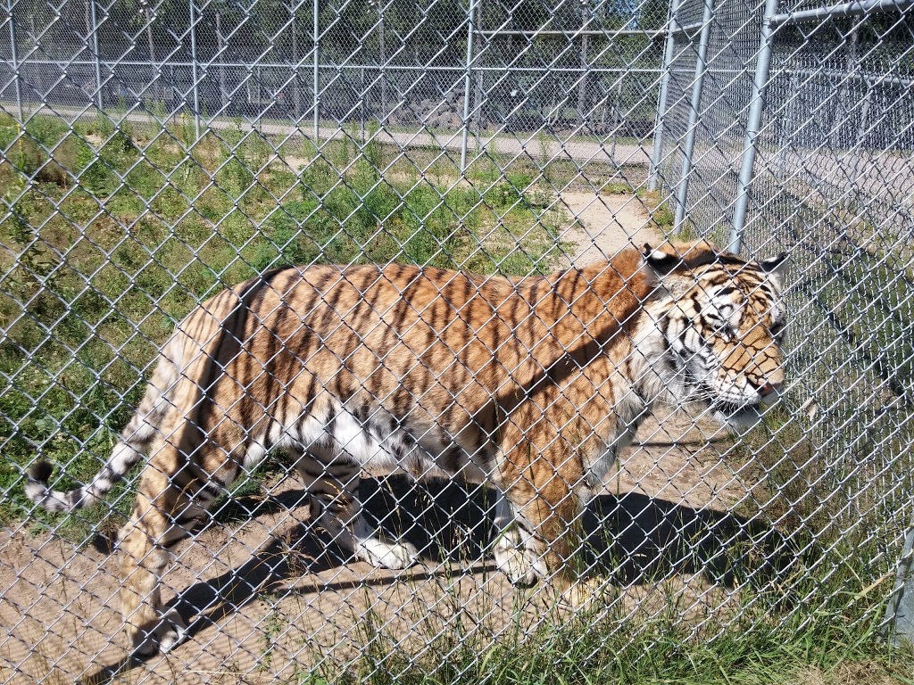 Zoo St-Édouard | 3381 Rang des Chutes, Saint-Édouard-de-Maskinongé, QC J0K 2H0, Canada | Phone: (819) 268-5150