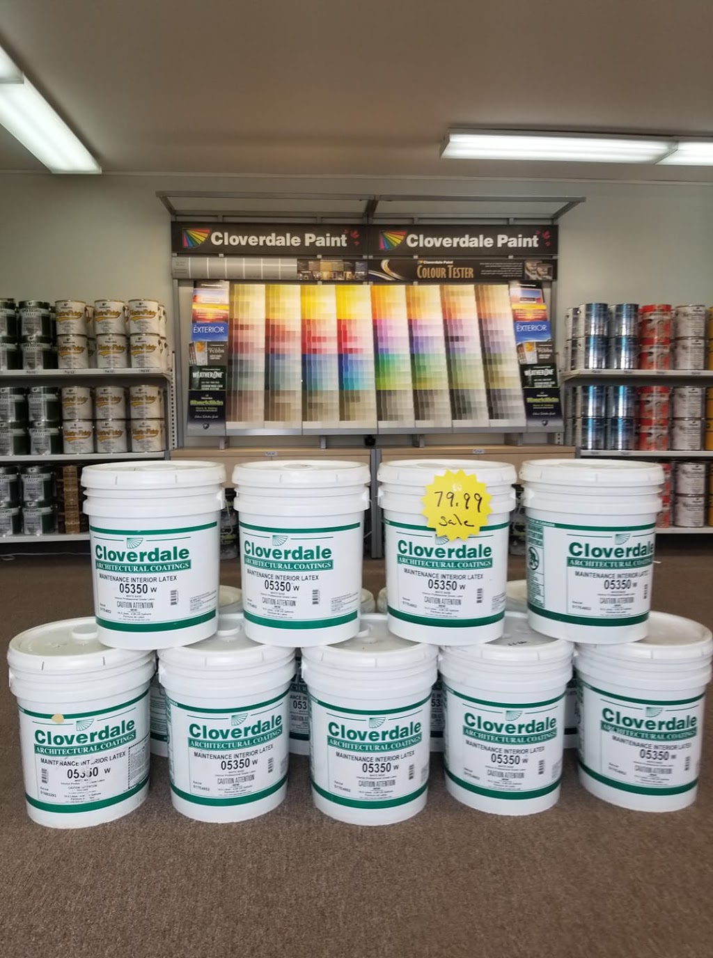 The Paint Store | 150 Trites Rd, Riverview, NB E1B 3L9, Canada | Phone: (506) 862-9188