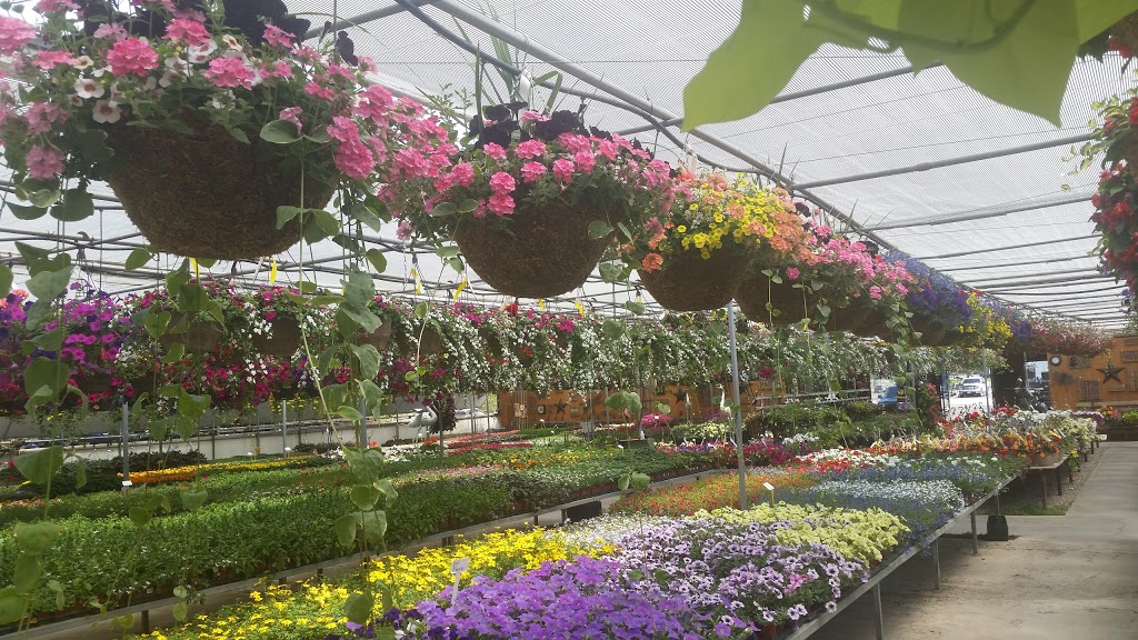 Steyns Garden Centre | 19890 Hwy 11, Bradford, ON L3Z 2B6, Canada | Phone: (905) 775-3359