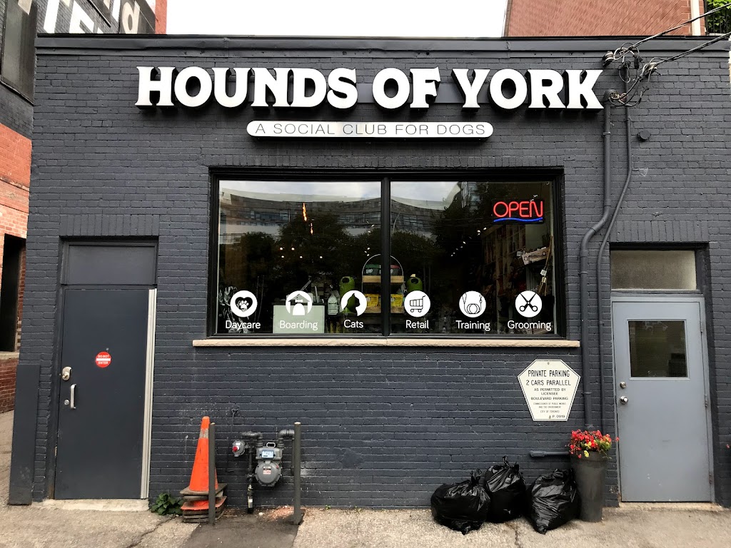 Hounds Of York | 9 Niagara St, Toronto, ON M5V 1C2, Canada | Phone: (416) 593-5225